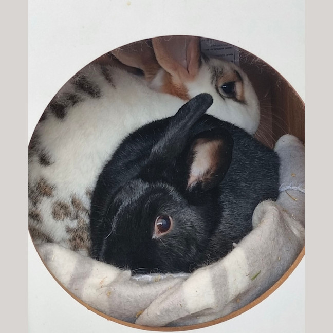 Photo of Petal & Jacob