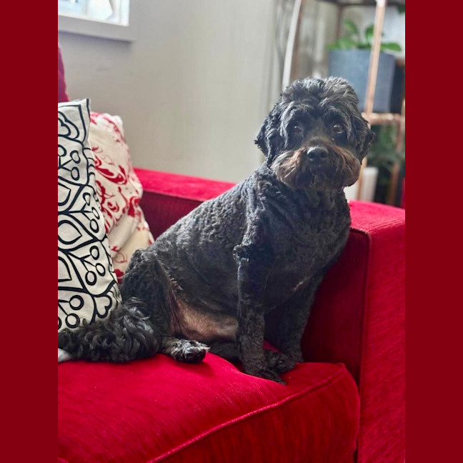 Photo of Bubbles 🫧 