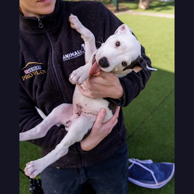 Photo of Fickelgruber