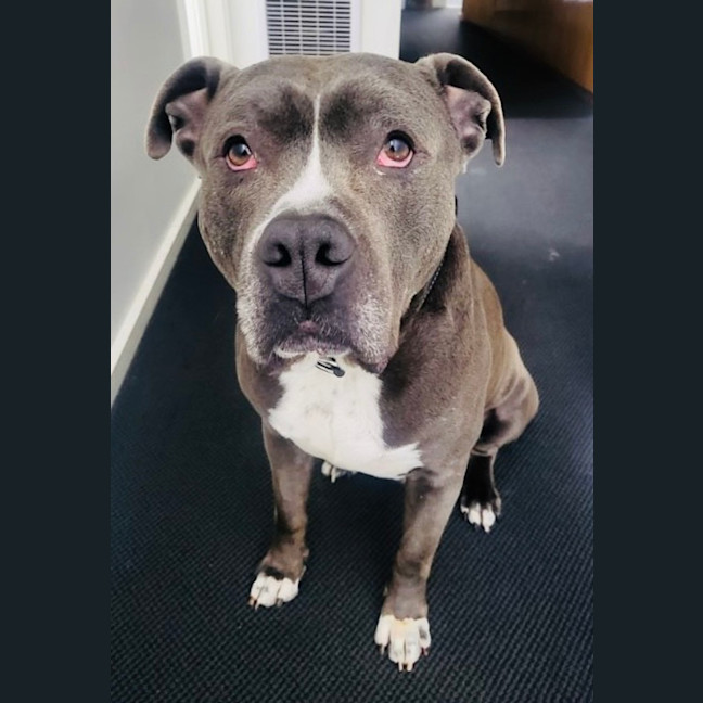Photo of Ace