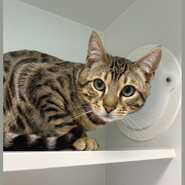 Photo of Larry Lasagna