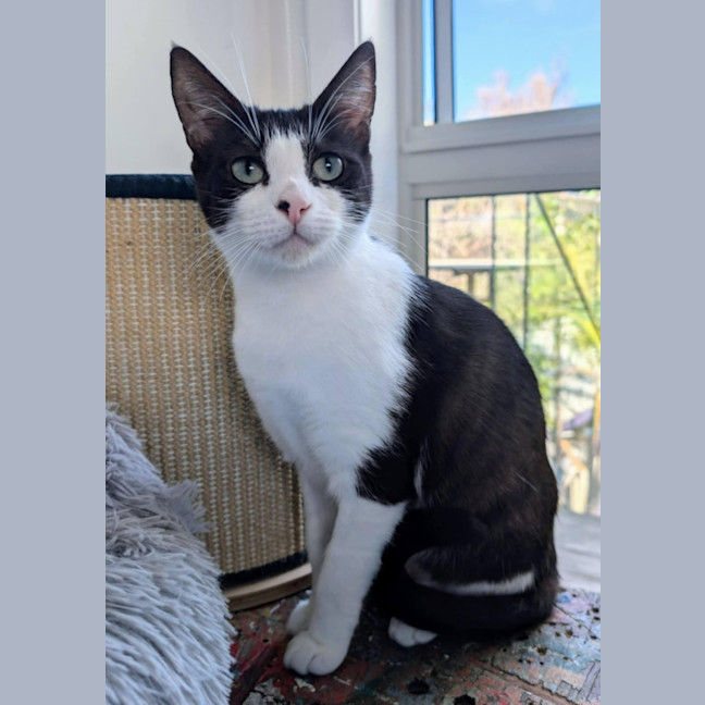 Photo of Francis 🌹🌹