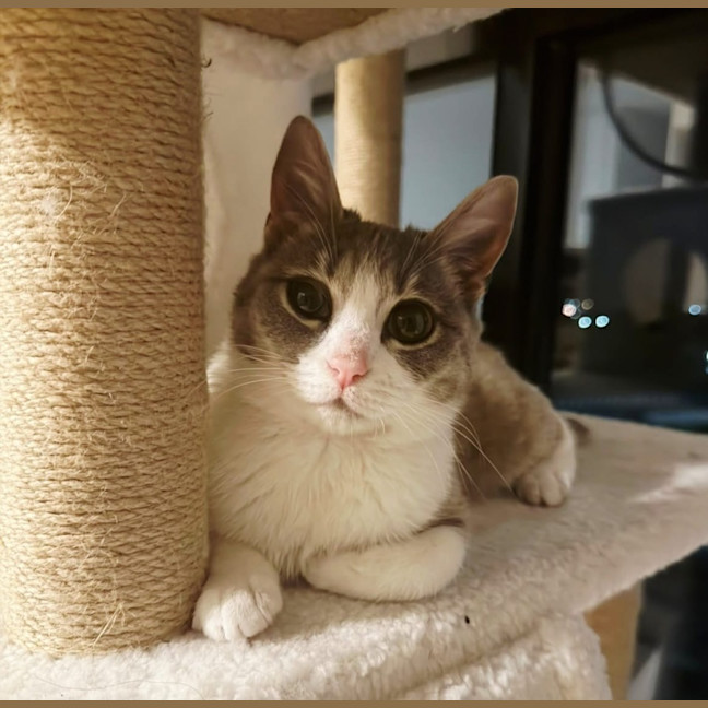 Photo of Thumbelina