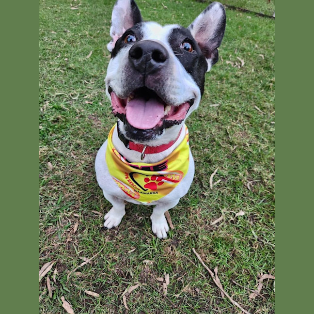 Photo of Biggie Smallz