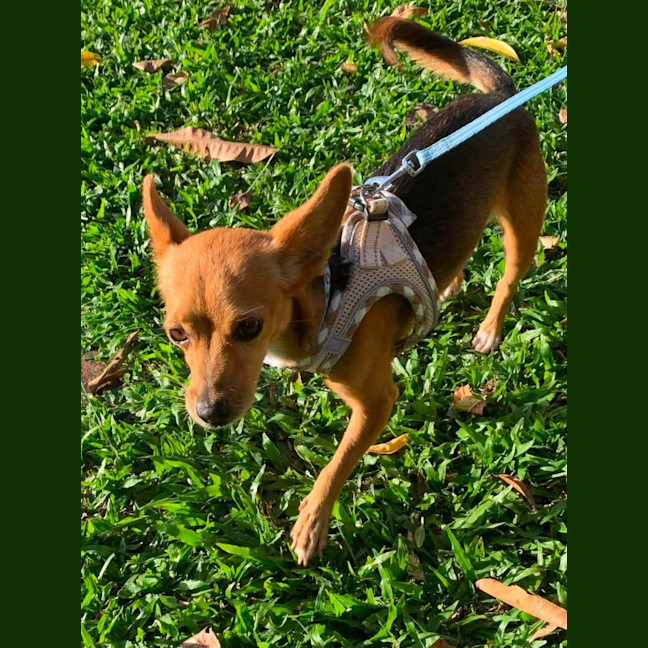 Photo of Tiny