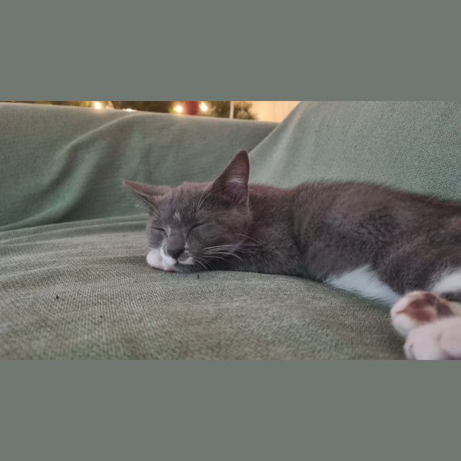 Photo of Ashy ♥️♥️💙