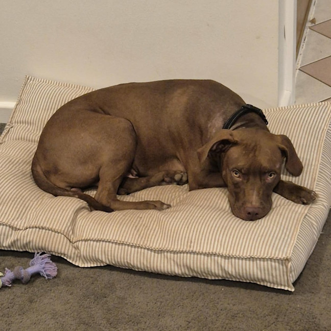 Photo of Heidi