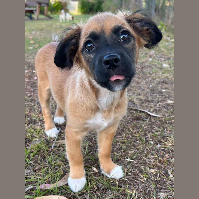 Photo of Maggie
