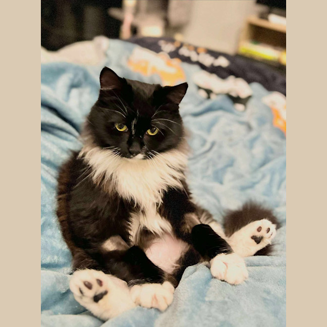 Photo of Jasmine