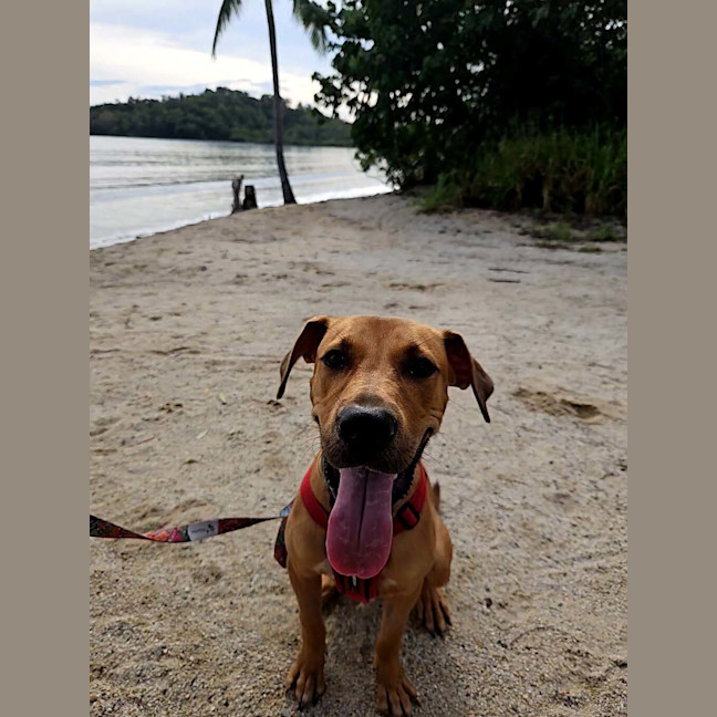 Photo of Chase