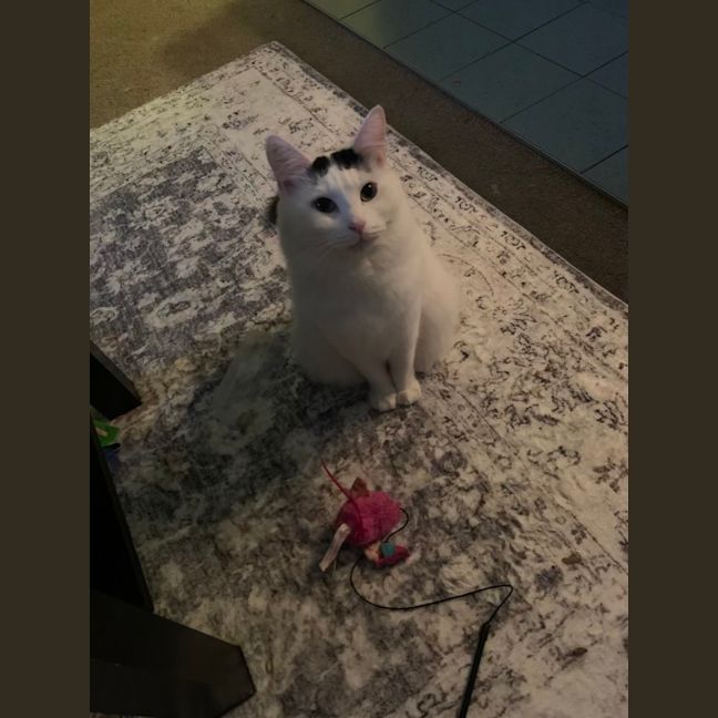Photo of Dottie