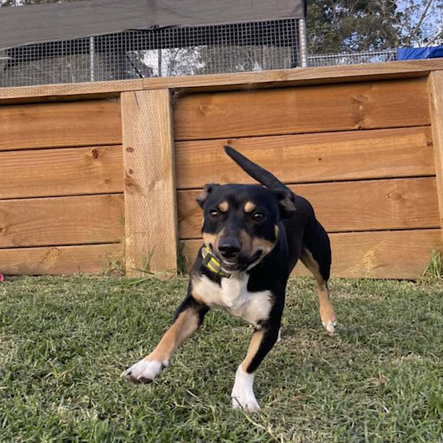 Photo of Reggie