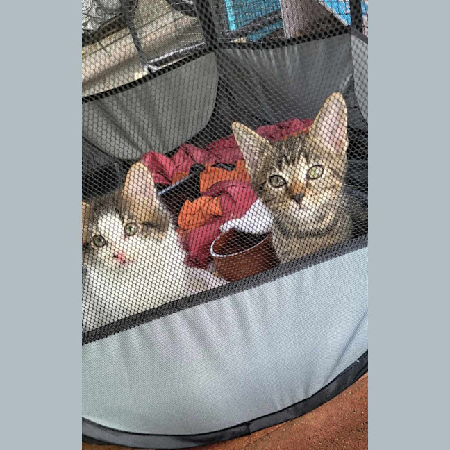Photo of Arthur & Charles