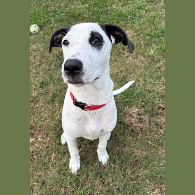 Photo of Sugar 