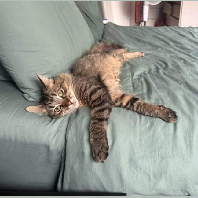 Photo of Lily