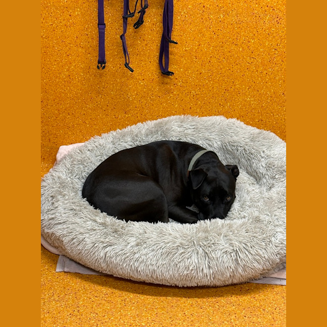 Photo of Tank