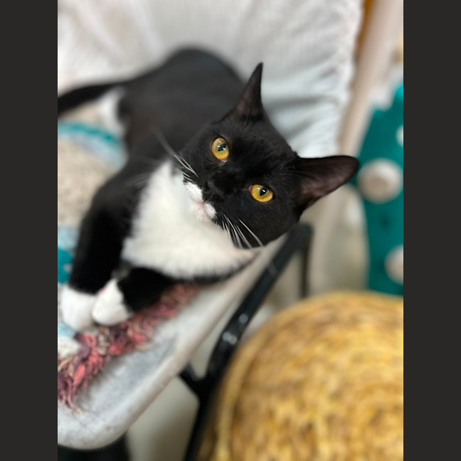 Photo of Sally