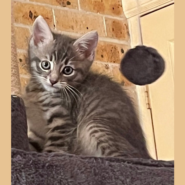 Photo of Ralph 