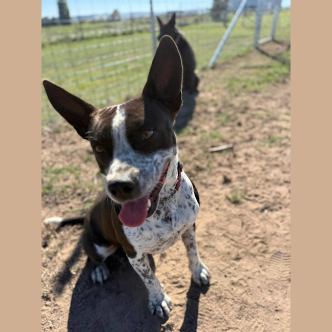 Photo of Charlie