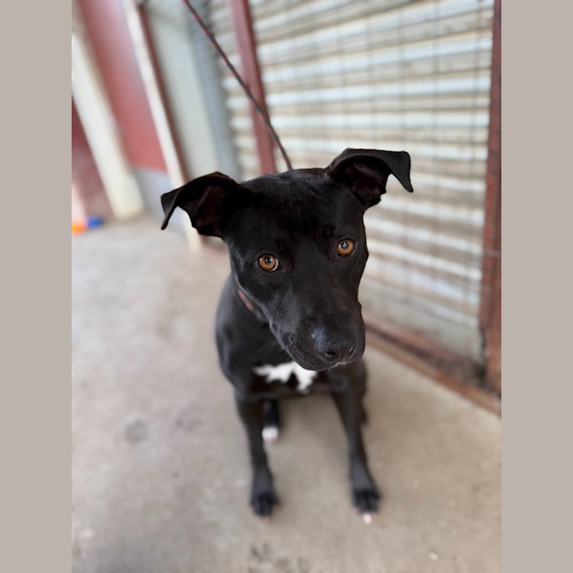 Photo of Storm