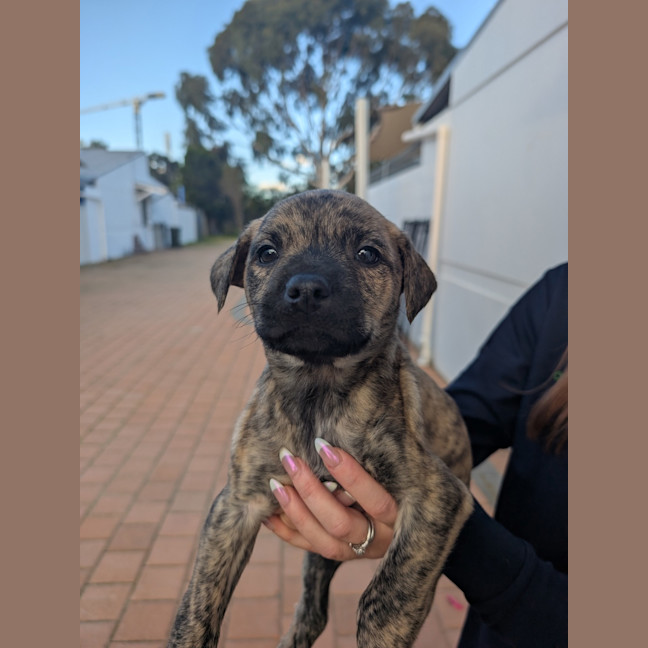 Photo of Molly