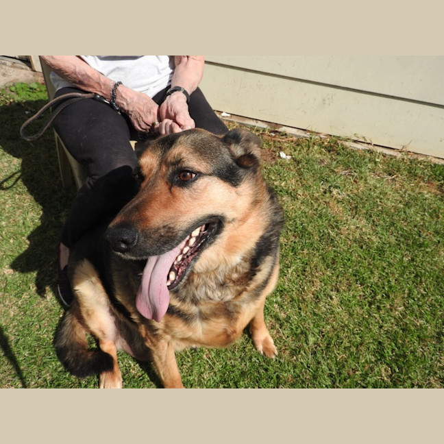 Photo of Duke