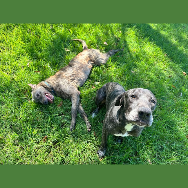 Photo of Coco & Rome 