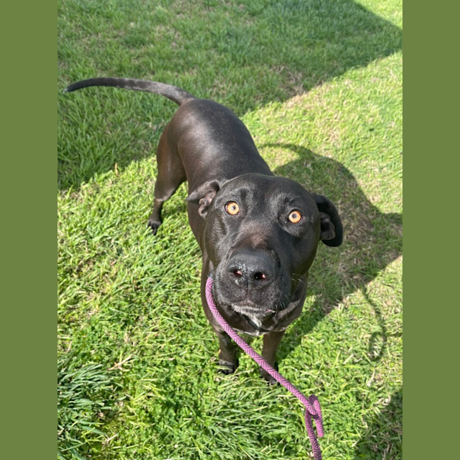 Photo of Phy (Phoebe Buffay)