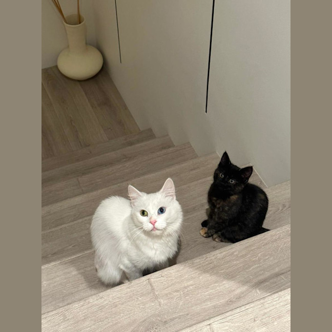 Photo of Bella & Fleur