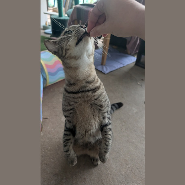 Photo of Storm