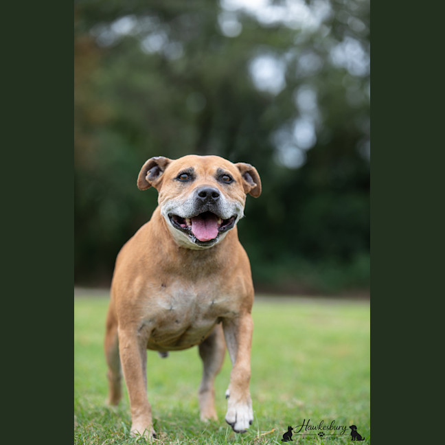 Photo of Bruce