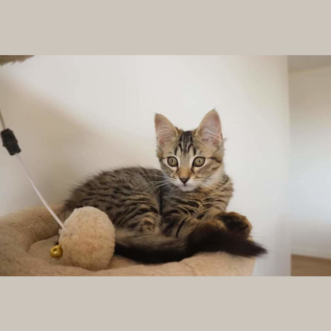 Photo of Rizzo