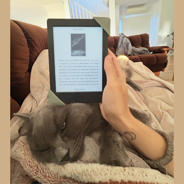 Photo of 💙 Harry 💙