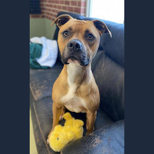 Photo of Nala