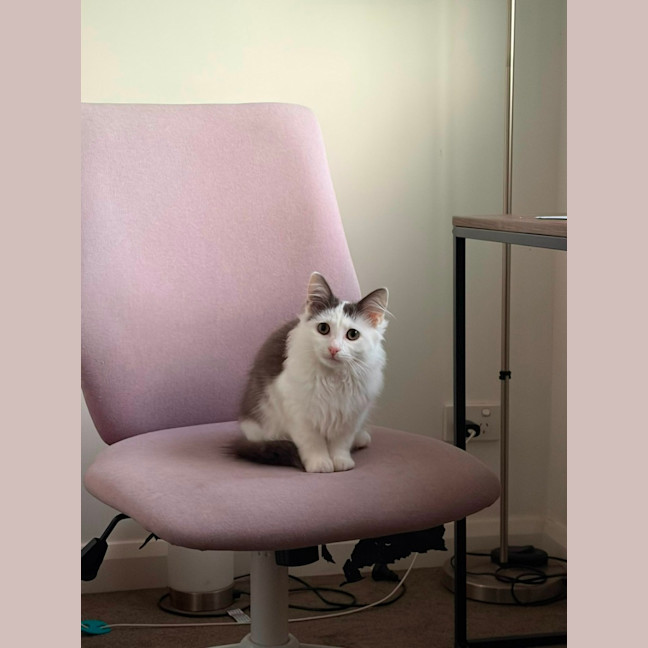 Photo of Popcorn