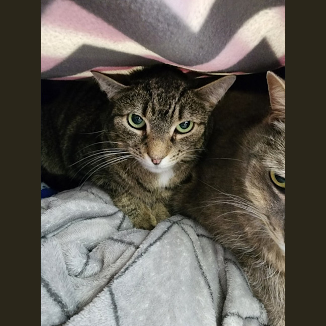 Photo of Lucky & Ella 