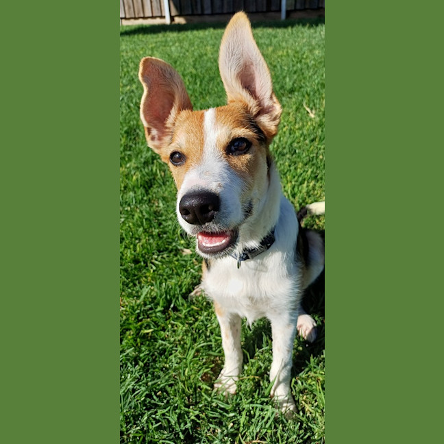 Photo of Mirabel