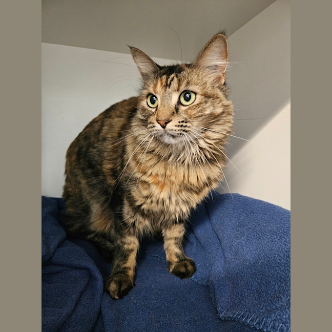Photo of Gigi