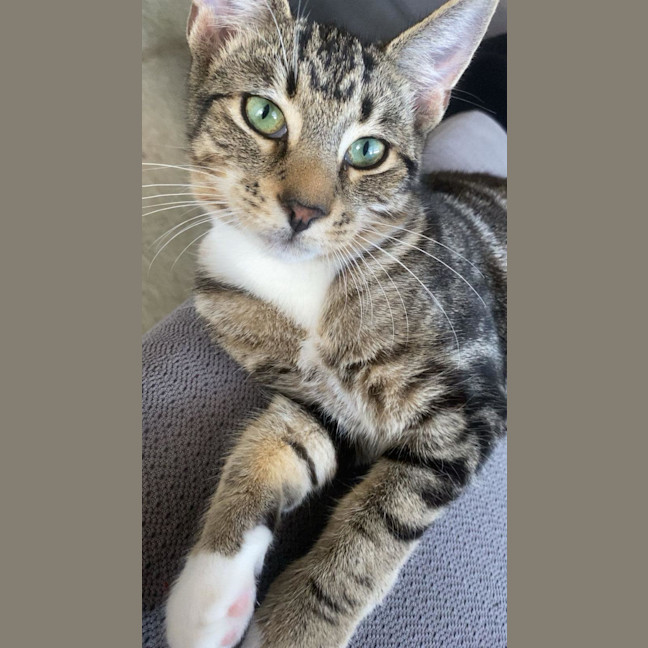 Photo of Little Man