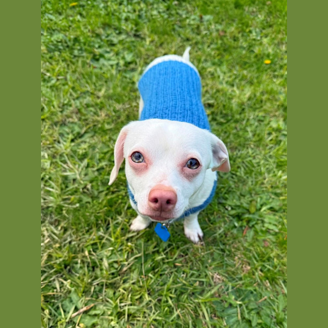 Photo of Jessie 