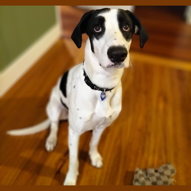 Photo of Charlie