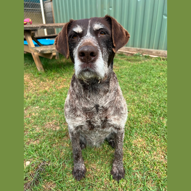 Photo of Elsa