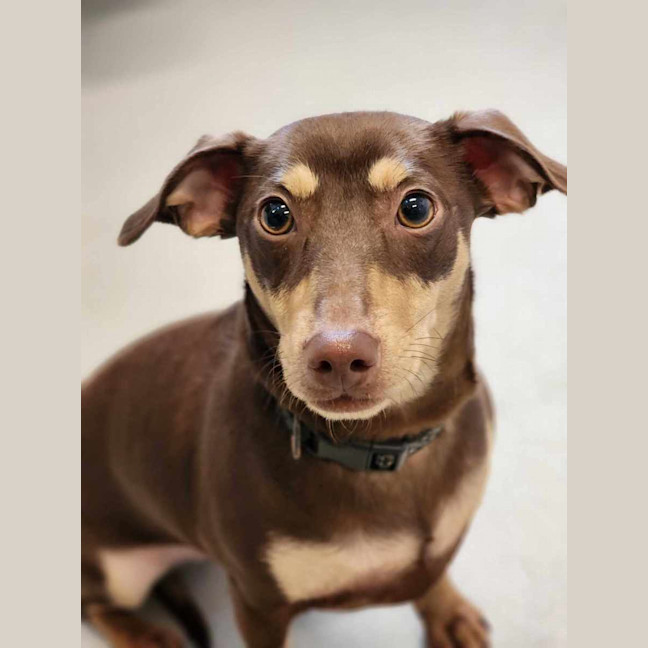 Photo of 🥨 Hilde 5390 🥨