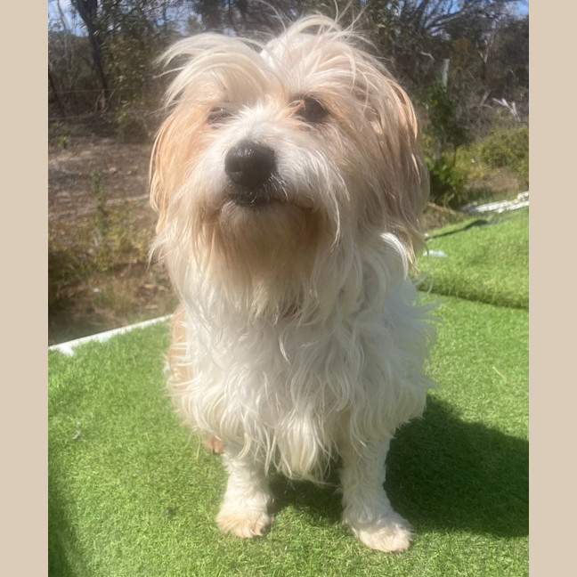 Photo of Sweetie Aka Suzi