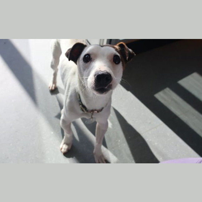 Photo of Max