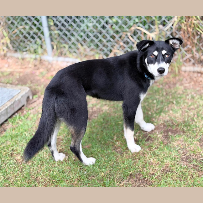 Photo of Yindi 