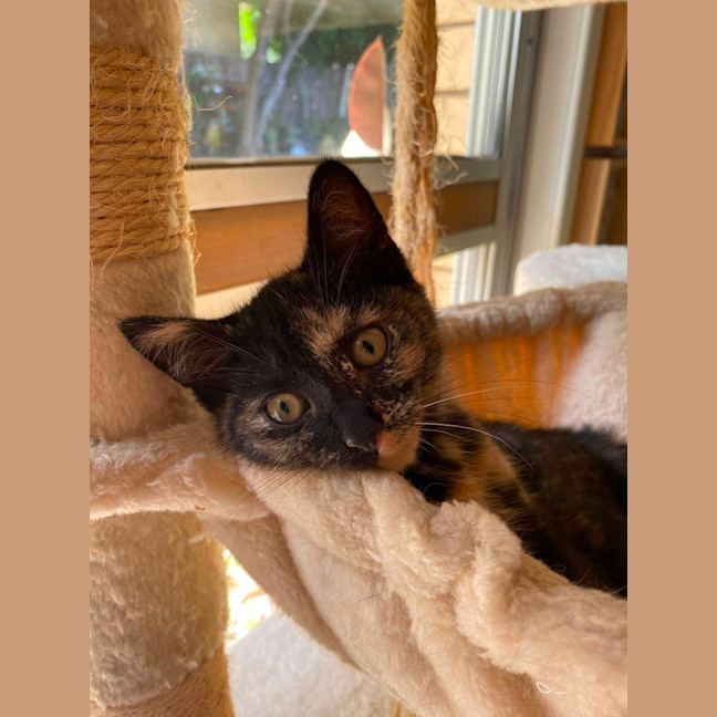 Photo of Valentina