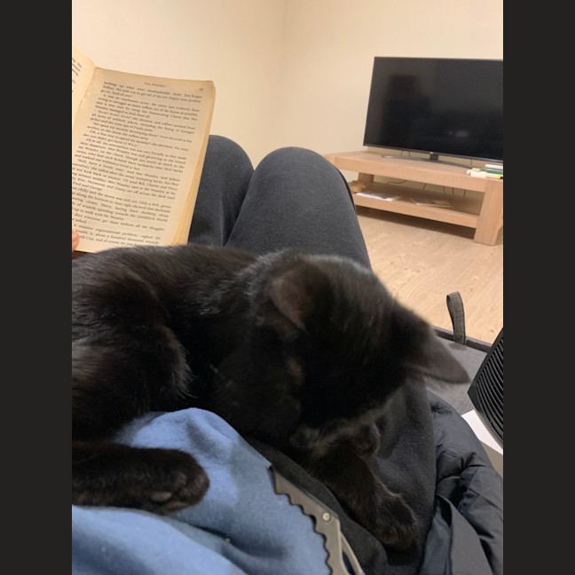 Photo of Nala (Was Wilma)