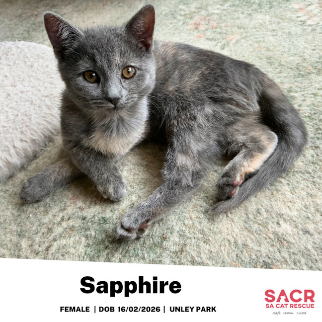 Photo of Sapphire