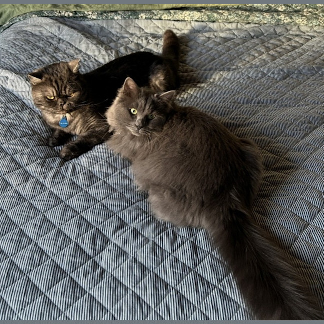 Photo of 💙 Harry 💙